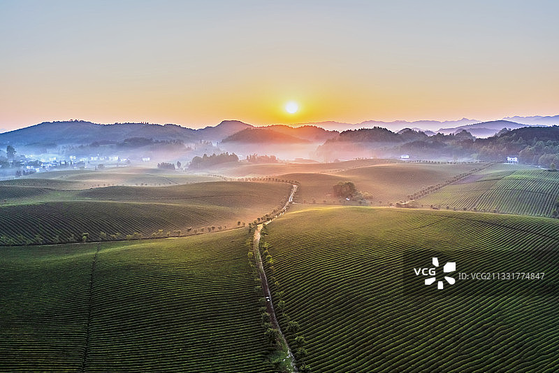 贵州遵义湄潭茶海之心图片素材