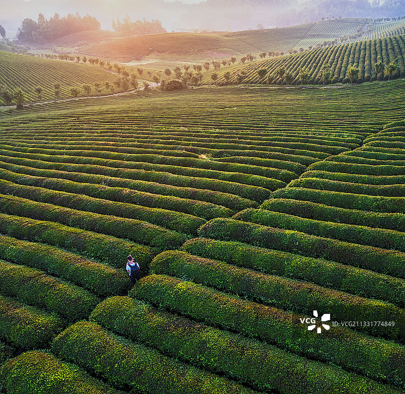 贵州遵义湄潭茶海之心图片素材