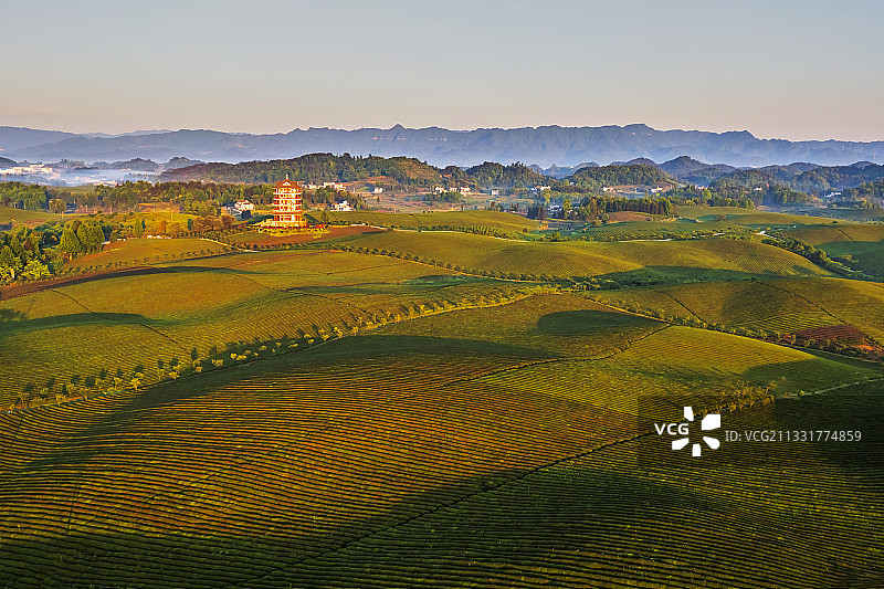 贵州遵义湄潭茶海之心图片素材