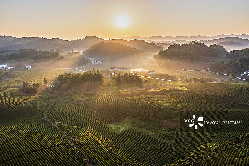 贵州遵义湄潭茶海之心图片素材