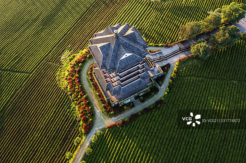 贵州遵义湄潭茶海之心图片素材