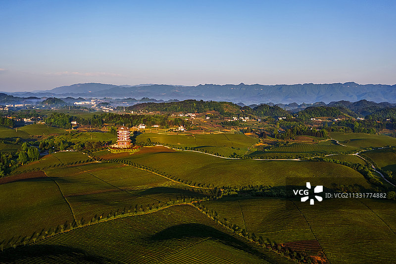 贵州遵义湄潭茶海之心图片素材