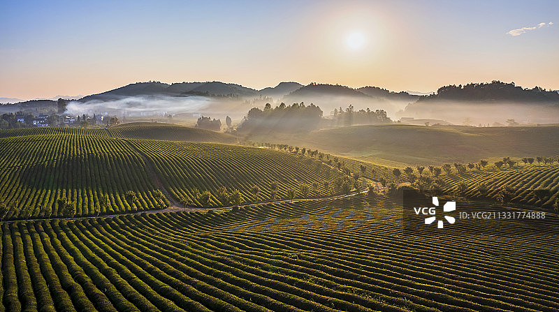 贵州遵义湄潭茶海之心图片素材
