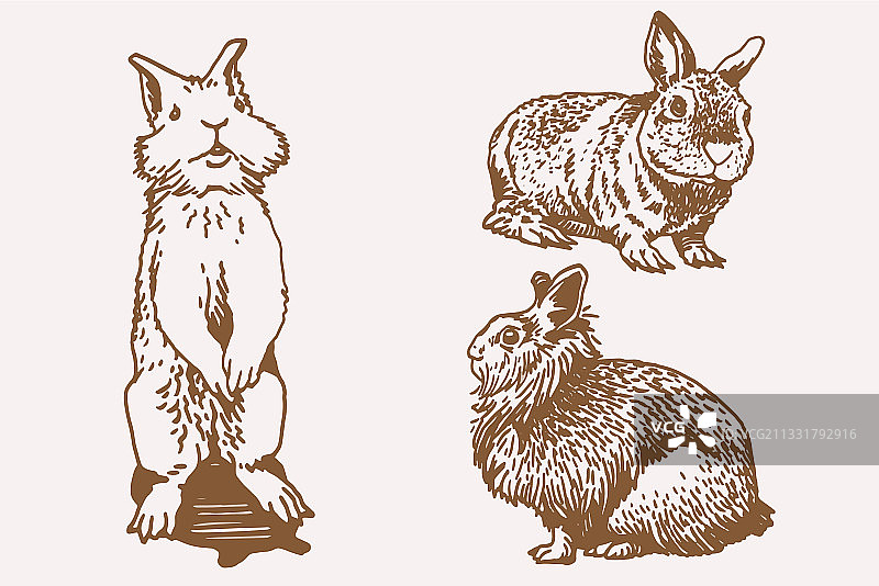 复古兔子棕褐色套装图形图片素材