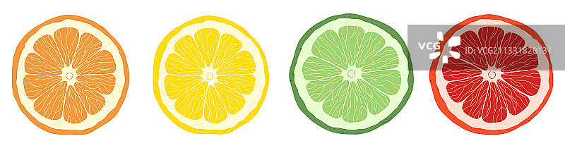 柑橘片青柠橙子葡萄柚套装图片素材