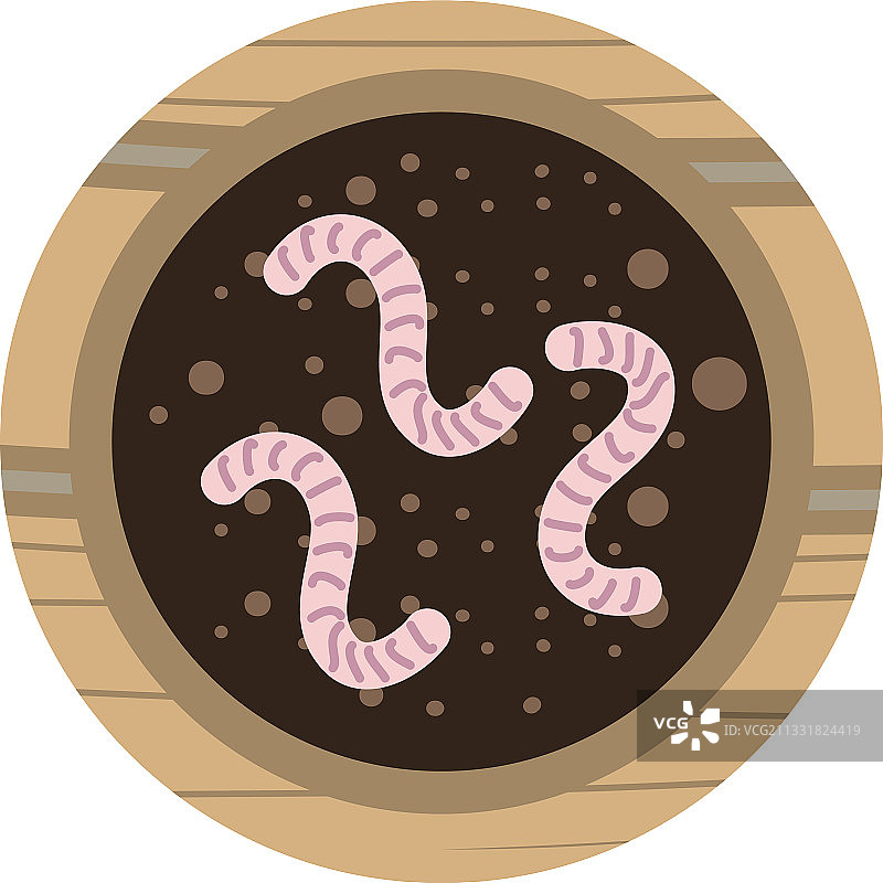 土壤中带蠕虫的花园盆栽图片素材