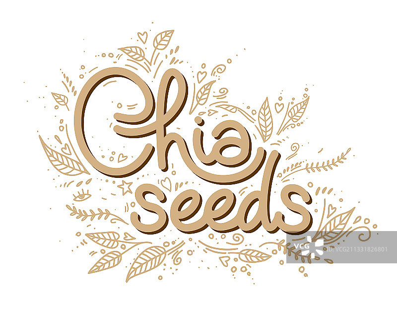 带有手写字体的奇亚籽标志模板图片素材