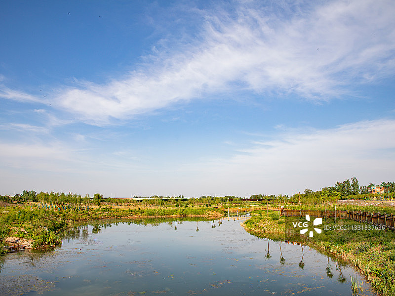 孟津黄河湿地 洛阳图片素材