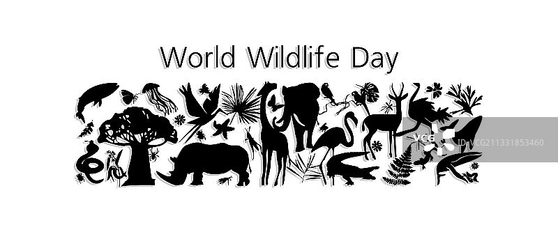 世界野生动植物日3月3日动物剪影图片素材