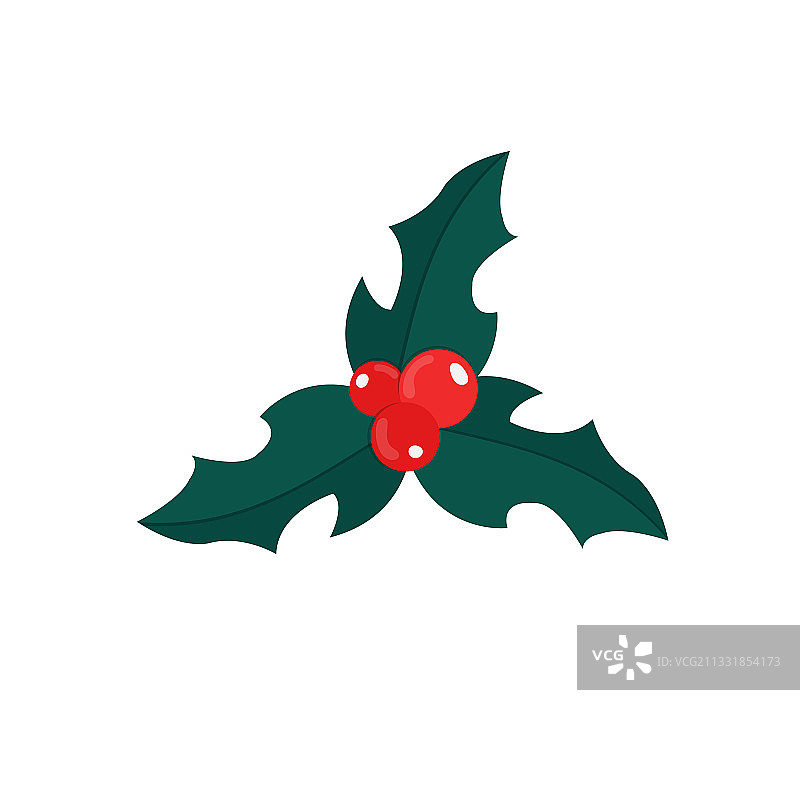白色背景上的圣诞冬青植物图片素材