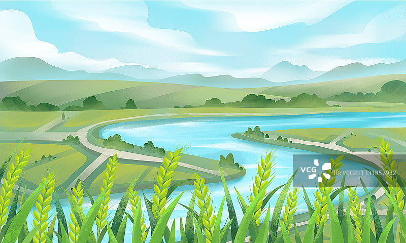 夏天的乡村户外田野风景图片素材