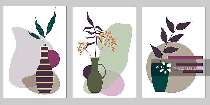 花瓶和树叶自然套装模板图片素材