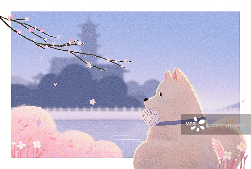 樱花和上上签图片素材