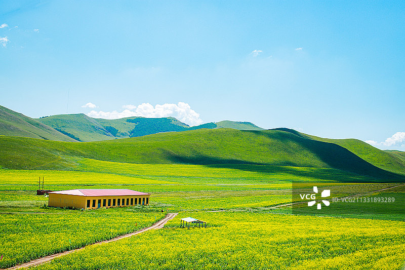 坝上草原图片素材