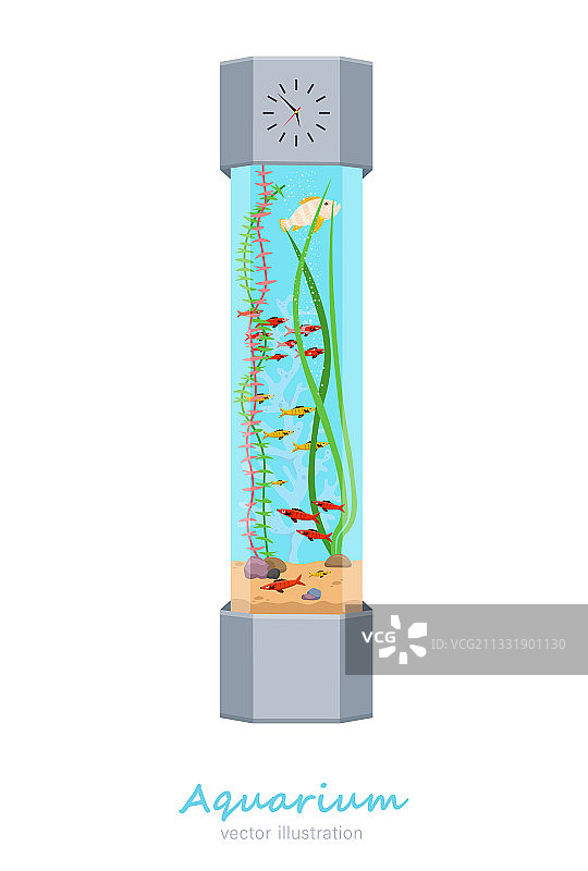 水族箱图片图片素材