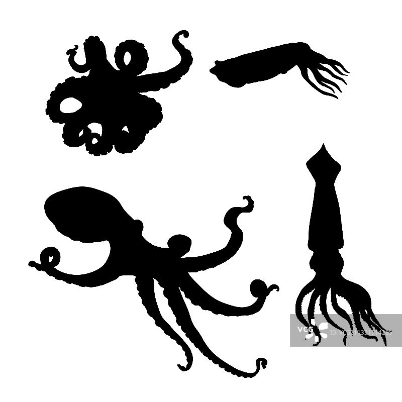 黑色剪影头足类章鱼图片素材