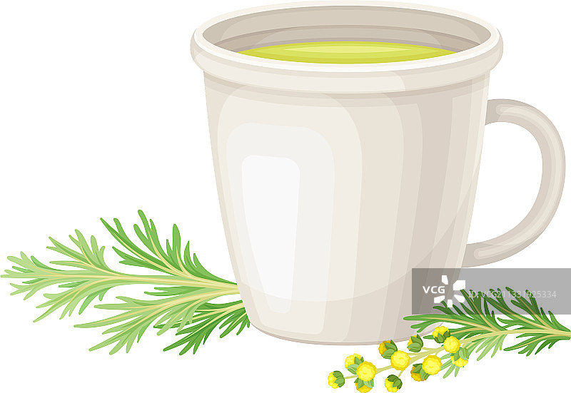 杯子里倒入了苦艾草或南艾草植物图片素材