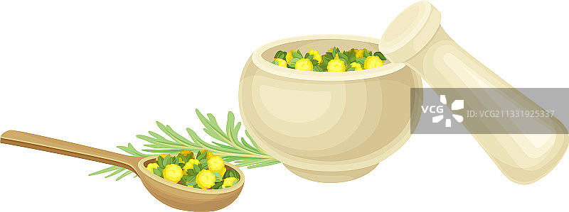 装有新鲜艾草的研钵和研杵图片素材