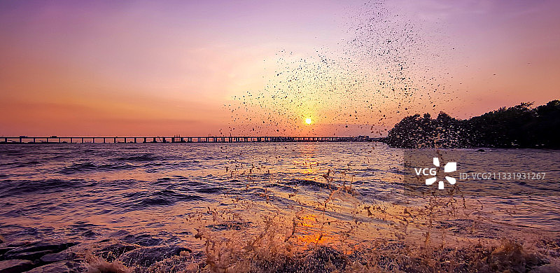 深圳韦斯特湾图片素材