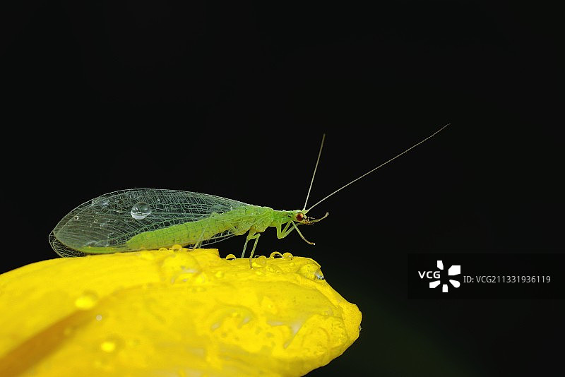 梳妆打扮图片素材