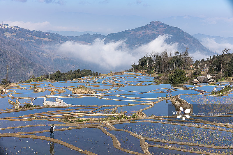 爱春蓝梯田 红河图片素材
