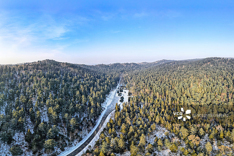 五营国家森林公园,伊春,红松,公路,雪,蓝天,森林图片素材