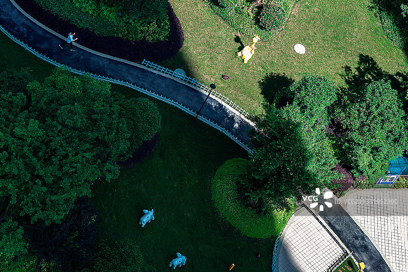 碧桂园城央壹品小区一隅图片素材