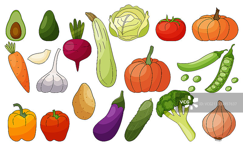 白色背景上的蔬菜组合图片素材