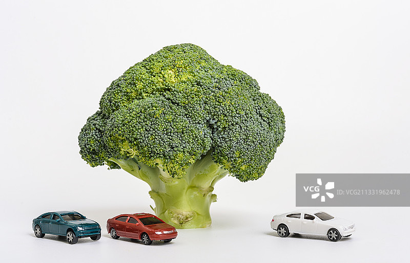 西兰花青花菜模型汽车图片素材