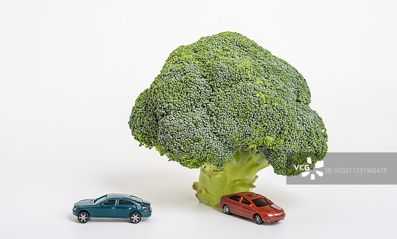 西兰花青花菜模型汽车图片素材