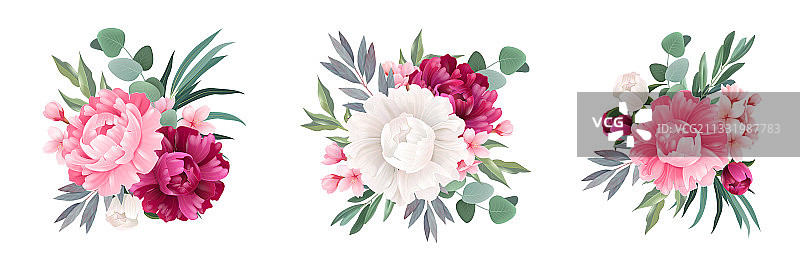 桉树花束套装图片素材