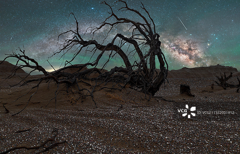 风吹雨浸自从容图片素材