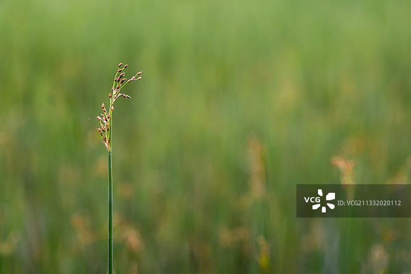 创意图片图片素材