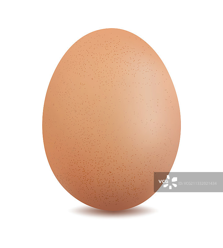 白色背景下的鸡蛋图片素材