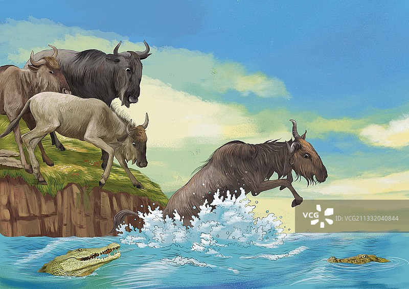 非洲角马迁徙鳄鱼图片素材