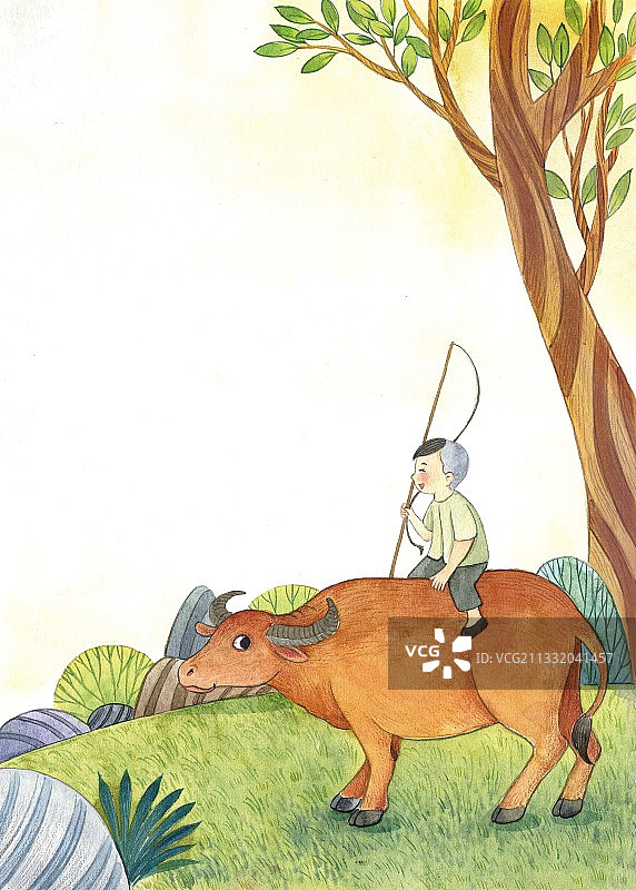 夏天放牛图片素材