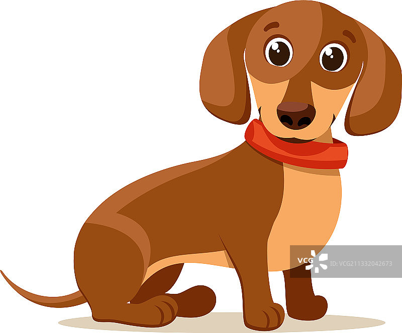 坐着的棕色腊肠犬图片素材
