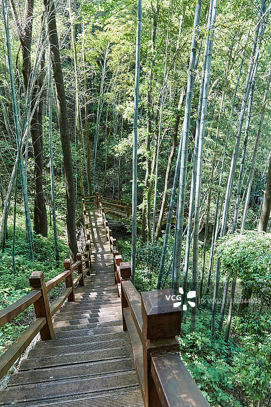 祁门牯牛降图片素材