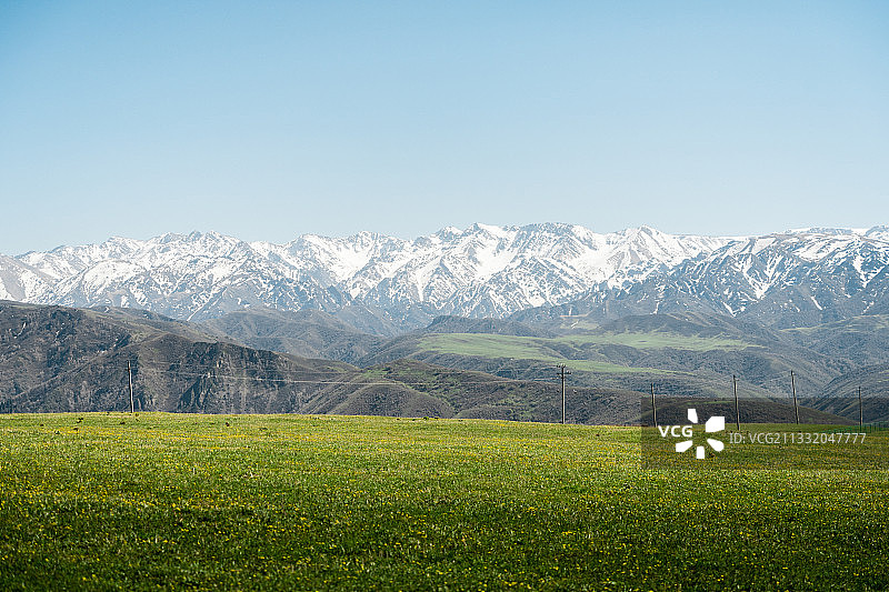 鹿角湾草场图片素材