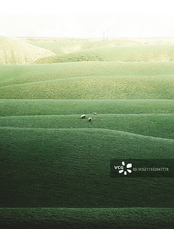 鹿角湾草场图片素材