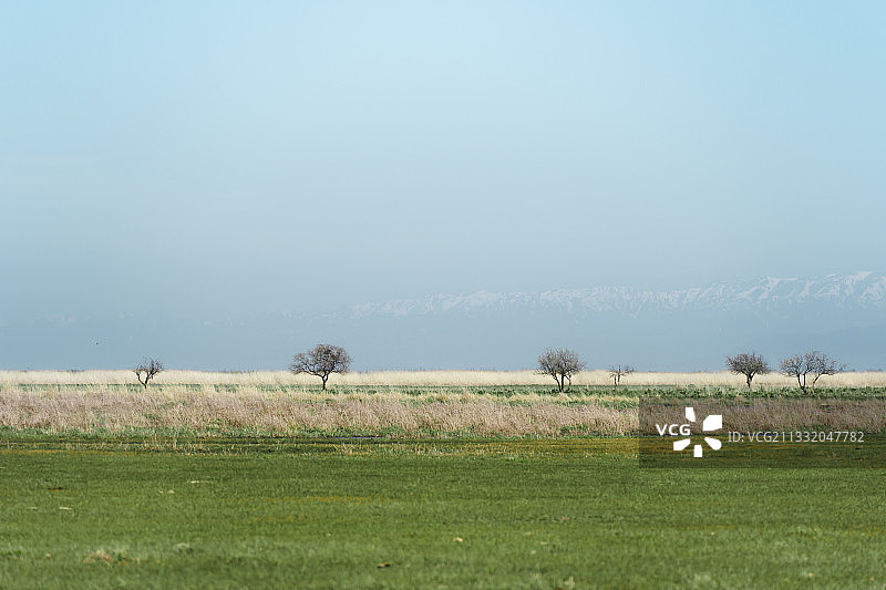 鹿角湾草场图片素材