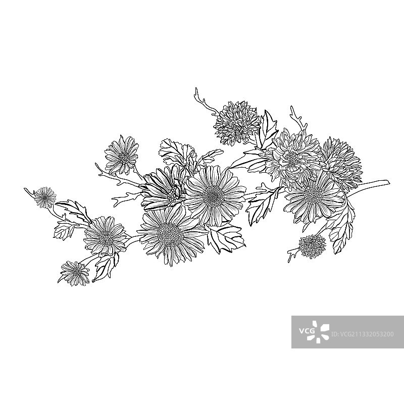 手绘花卉装饰图片素材