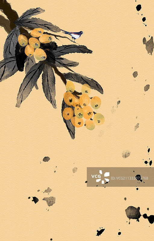 水墨画枇杷树图片素材