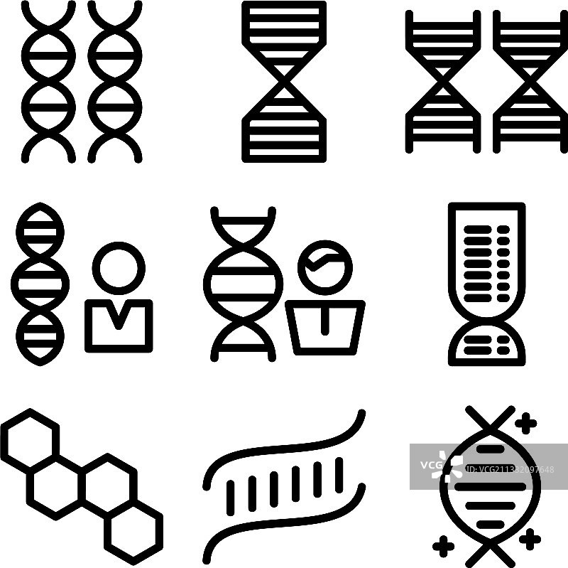 DNA螺旋图标或Logo图片素材