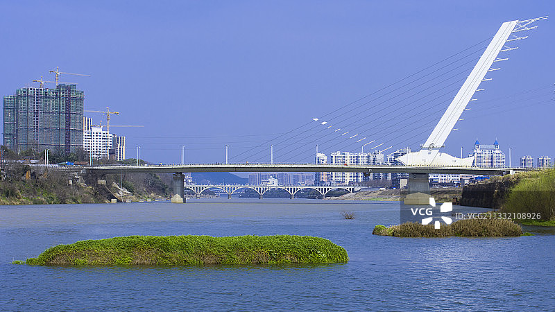 白鹭展翅图片素材