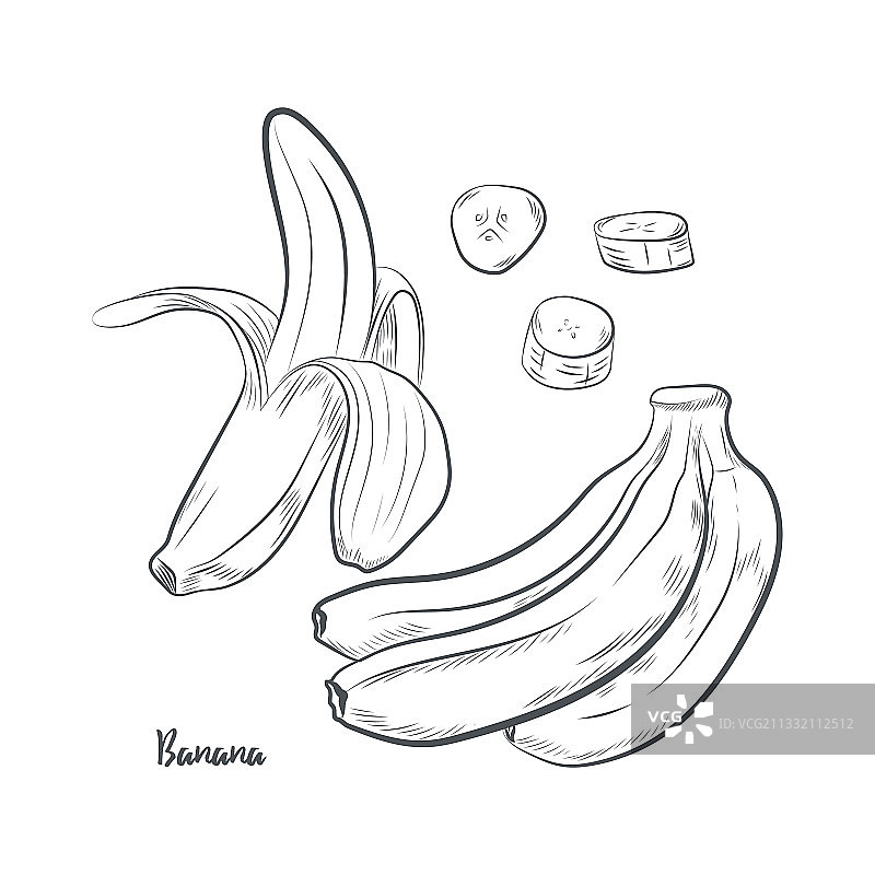 香蕉水果素描图片素材