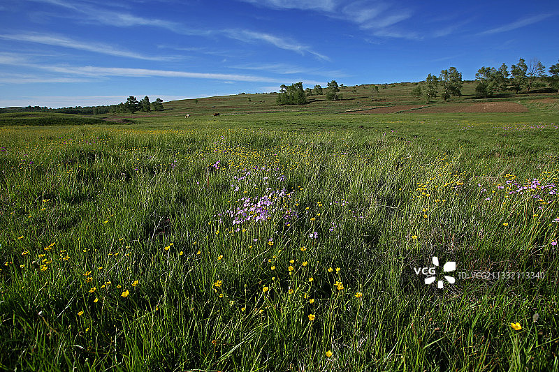 草原天路图片素材