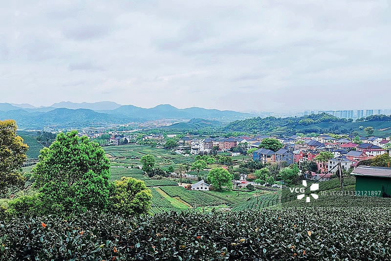 龙坞镇西山森林公园 杭州图片素材