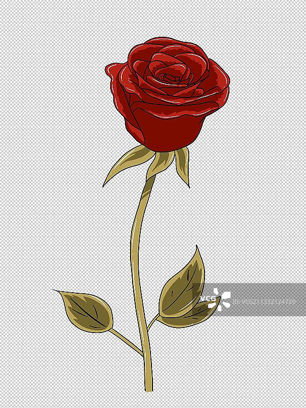 元素：玫瑰花图片素材