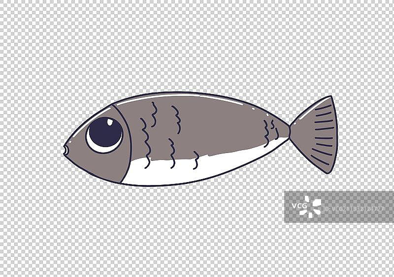 元素：鱼图片素材